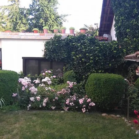 Matsureva House - Pri Ivan Guest house