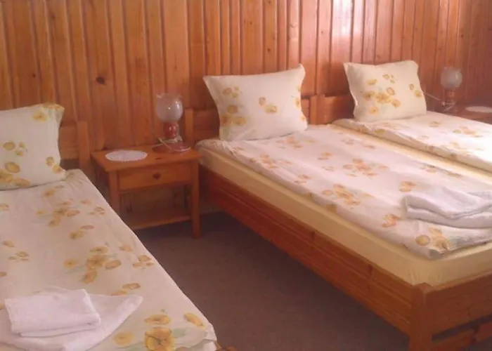 Matsureva House - Pri Ivan Pensionat Bansko